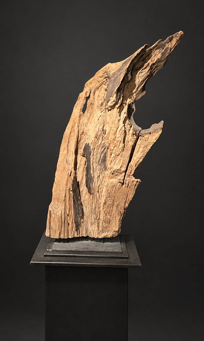 Eclipse (AF-OC-003), a naturally formed wood sculpture, 130 cm high × 73 cm wide, on its original black steel mount