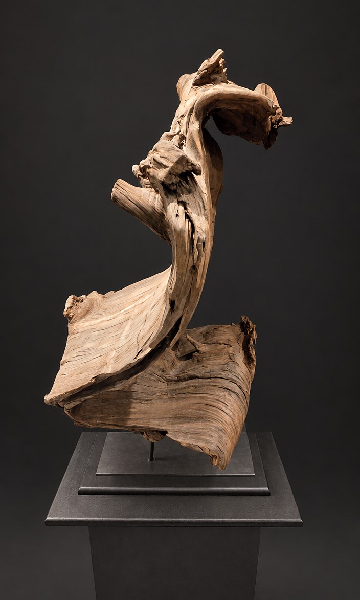 Genesis (AF-OC-004), a naturally formed wood sculpture, 85 cm high × 83 cm wide, on its original black steel mount
