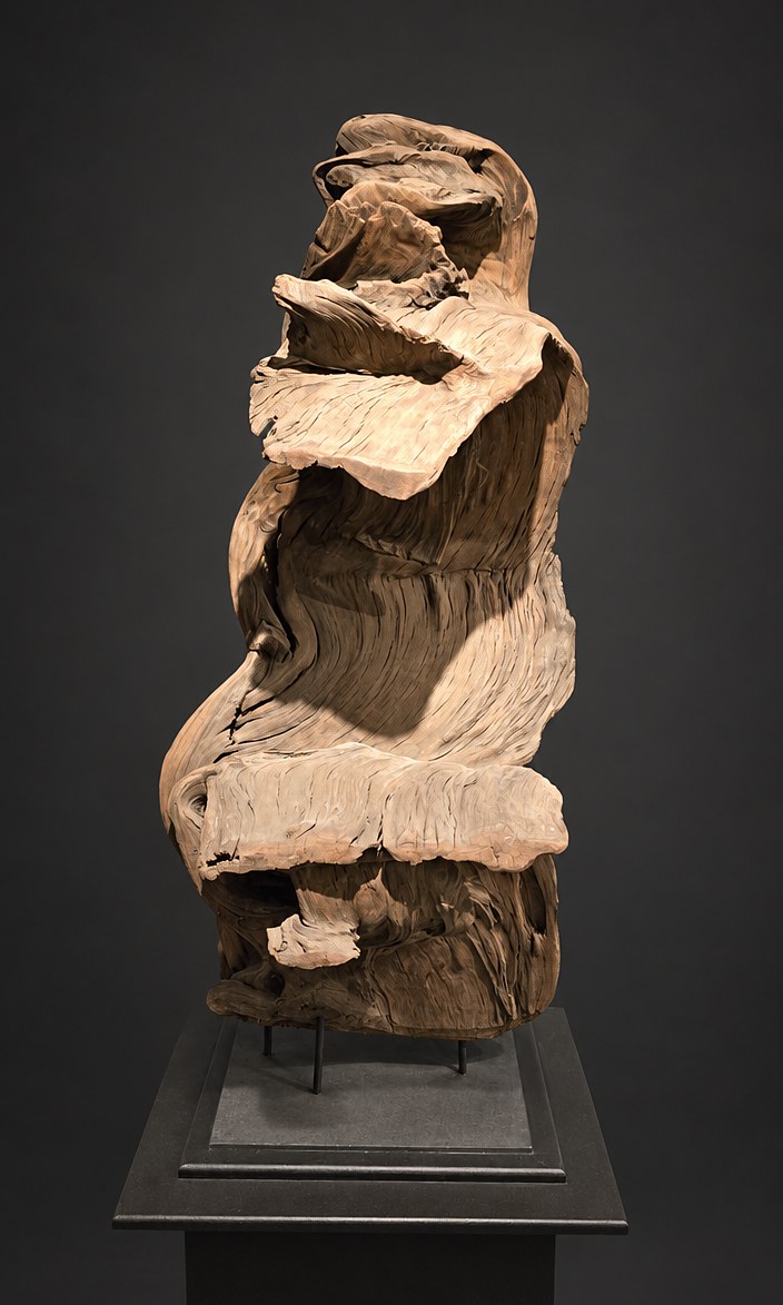 Drift (AF-OC-005), a naturally formed wood sculpture, 118 cm high × 62 cm wide, on its original black steel mount