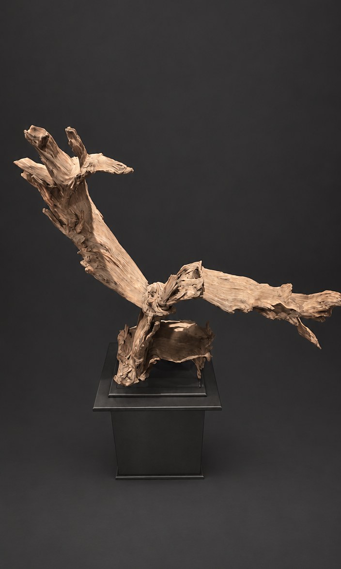 Monolith (AF-OC-006), a naturally formed wood sculpture, 117 cm high × 117 cm wide, on its original black steel mount