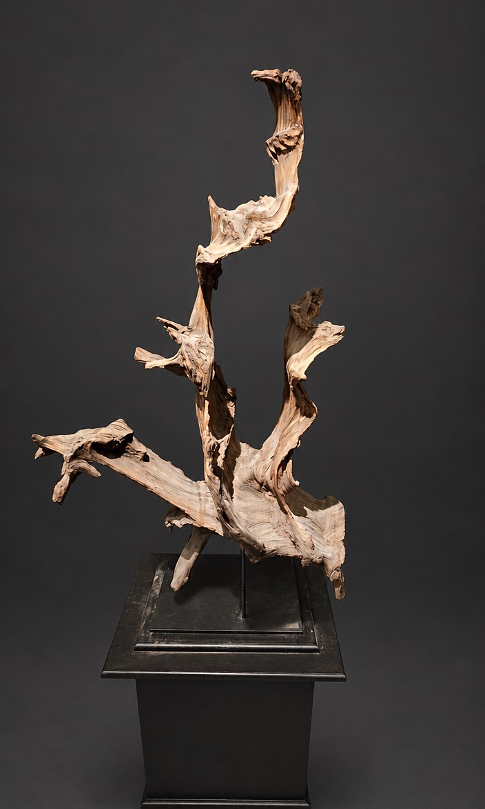 Emergence (AF-OC-008), a naturally formed wood sculpture, 117 cm high × 105 cm wide, on its original black steel mount