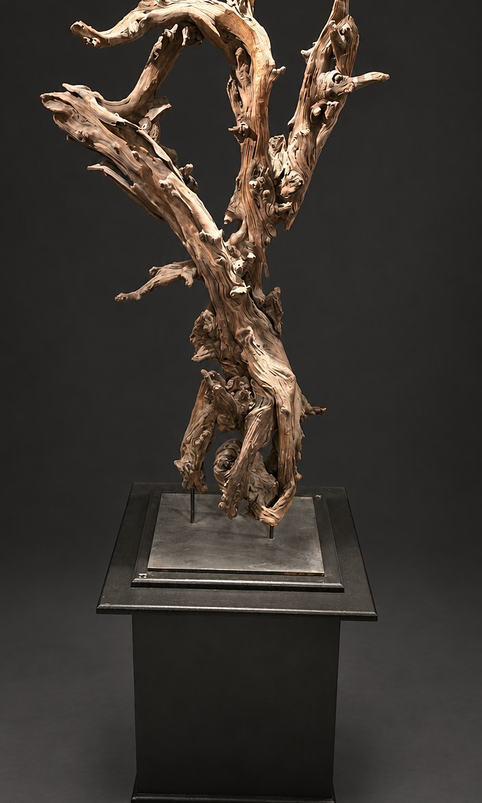Relic (AF-OC-011), a naturally formed wood sculpture, 118 cm high × 70 cm wide, on its original black steel mount